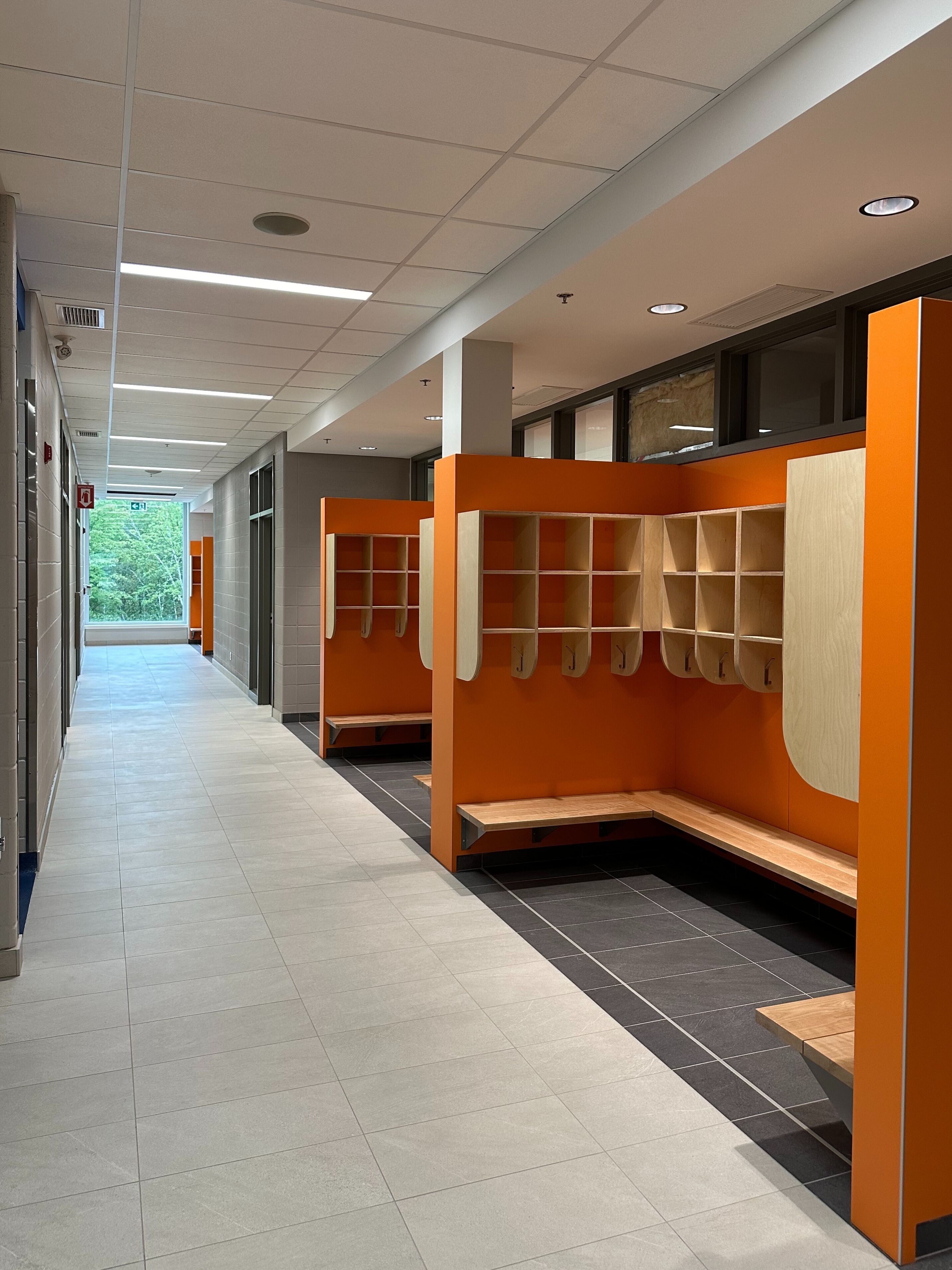 Corridor Fenetre Foret