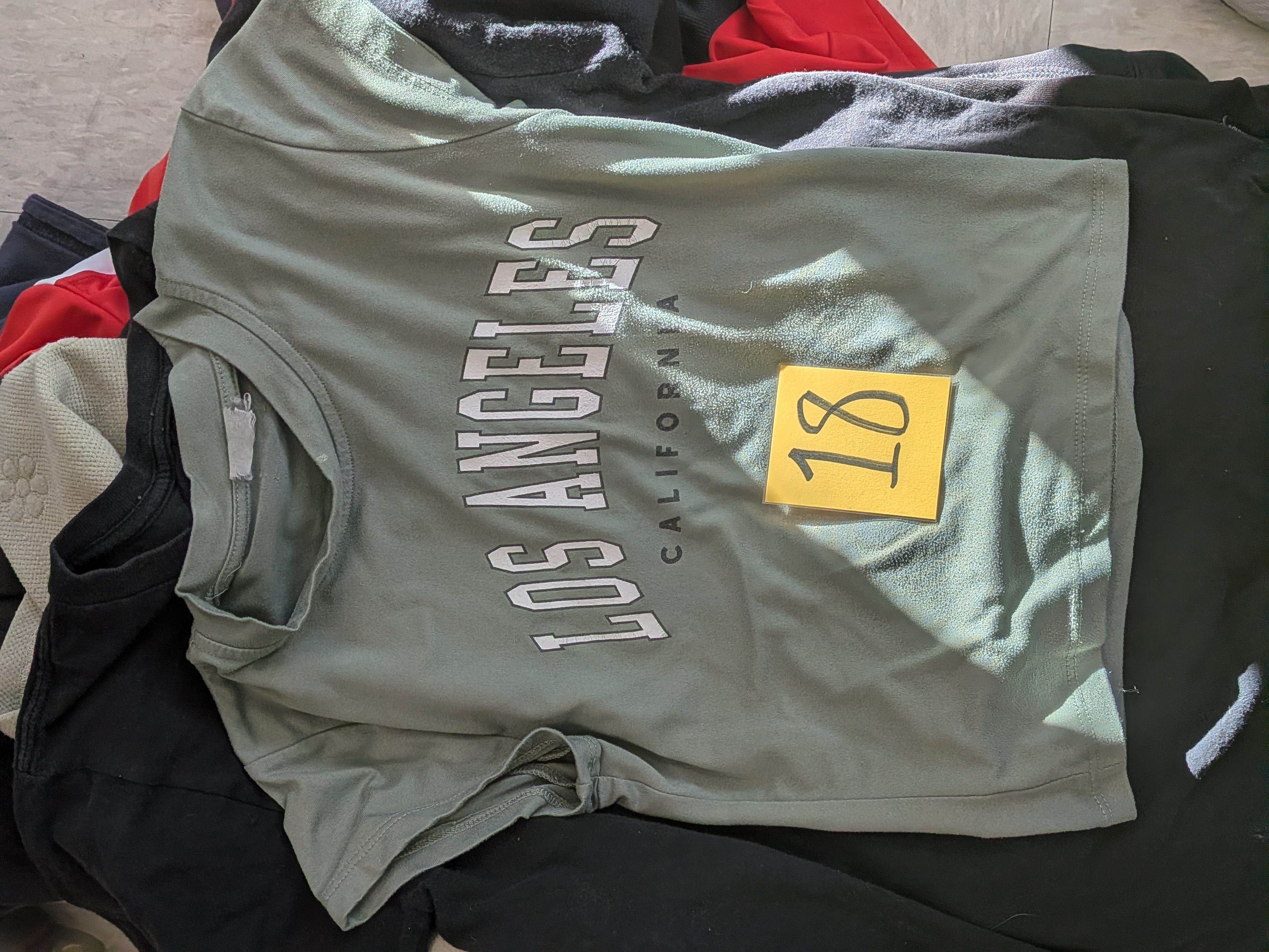 PXL 20260116 191254047