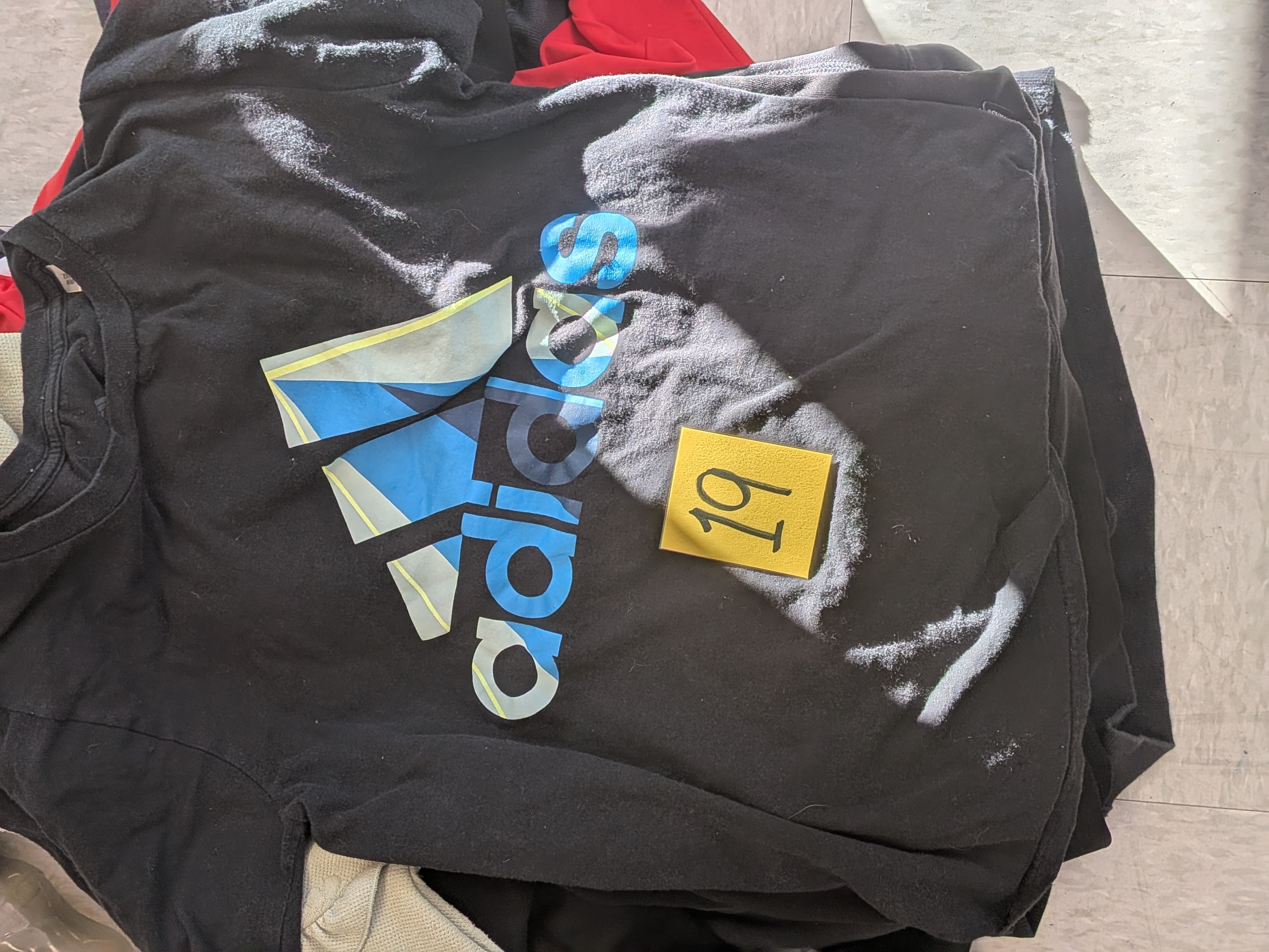 PXL 20260116 191307679