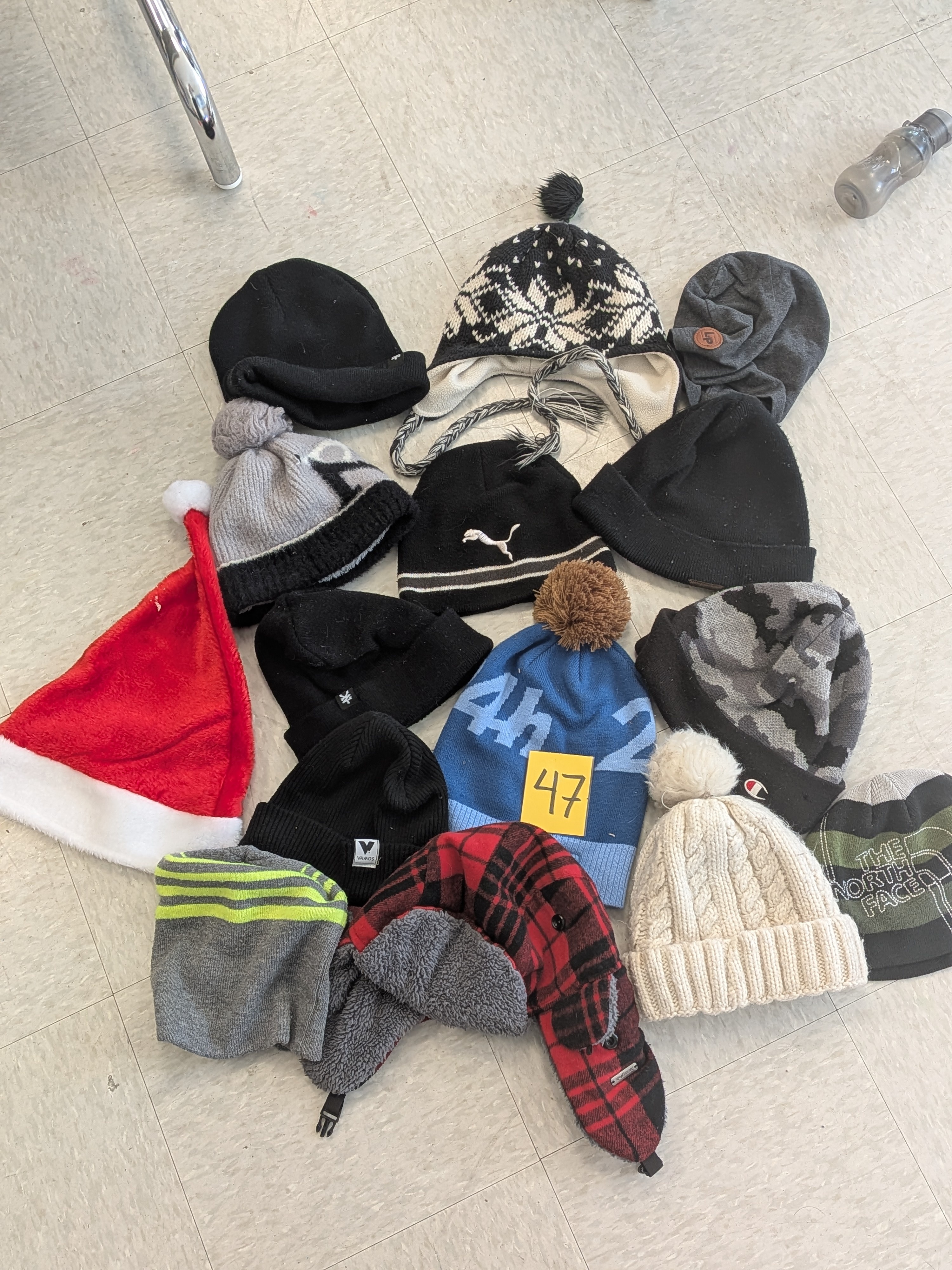 PXL 20260116 192047597 1