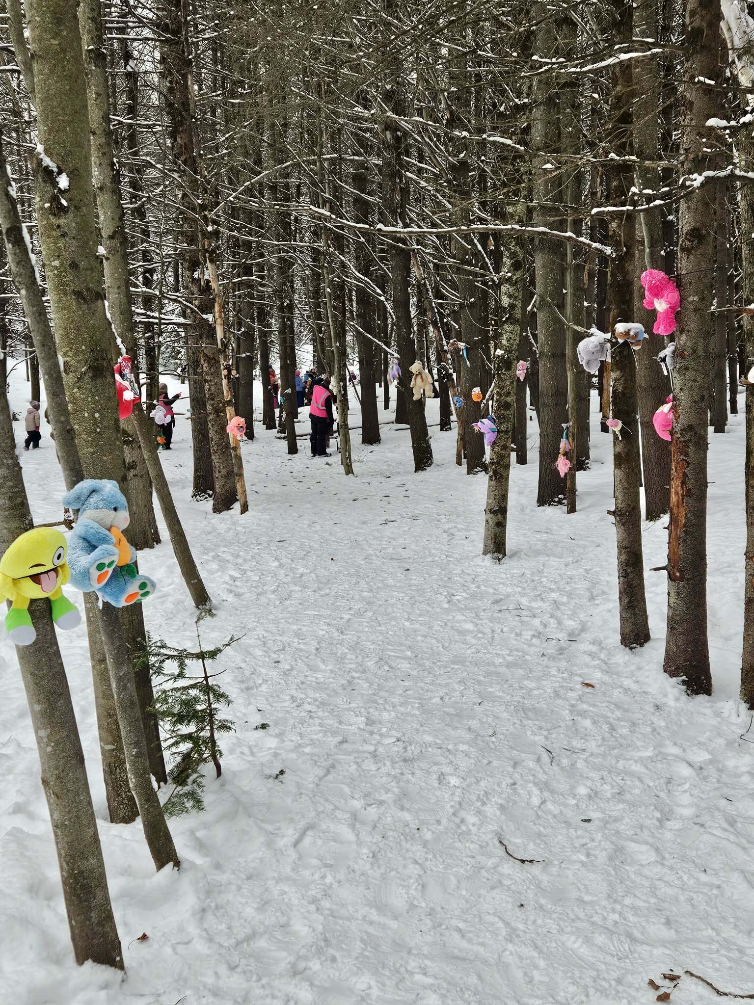 Bb8a56a7 c5a1 4582 af28 2c904168c82b