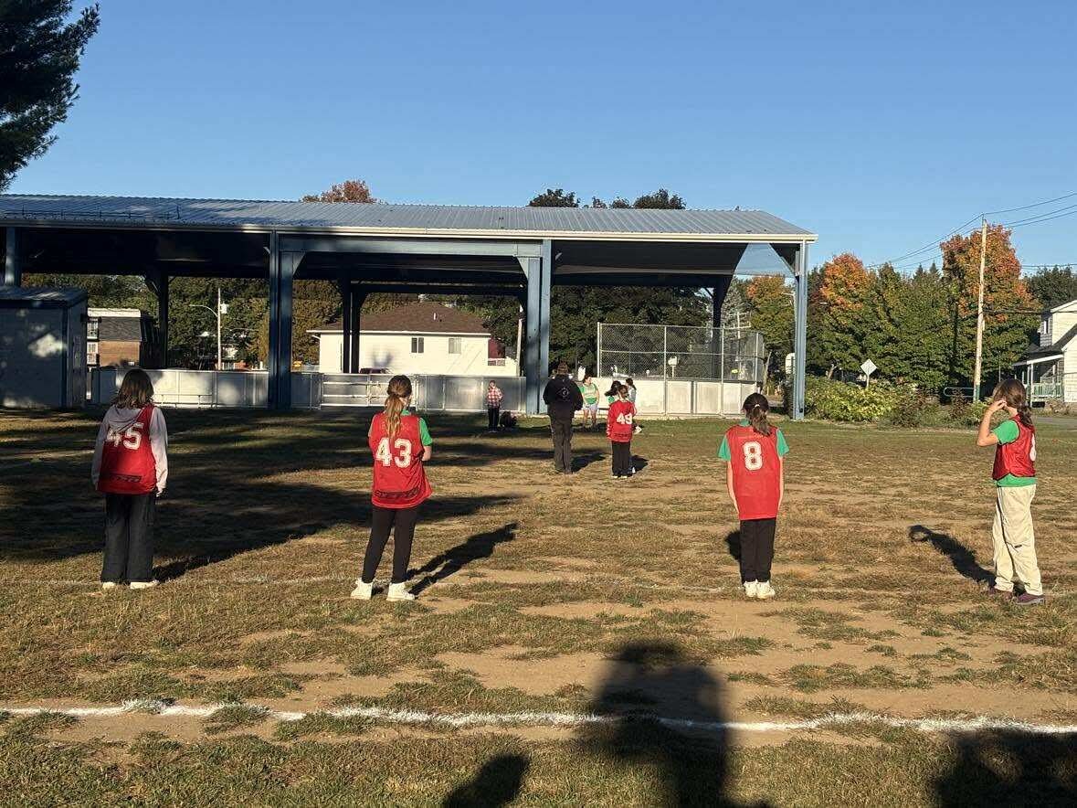 C08740a183ad4c56d19103edd359a4b3