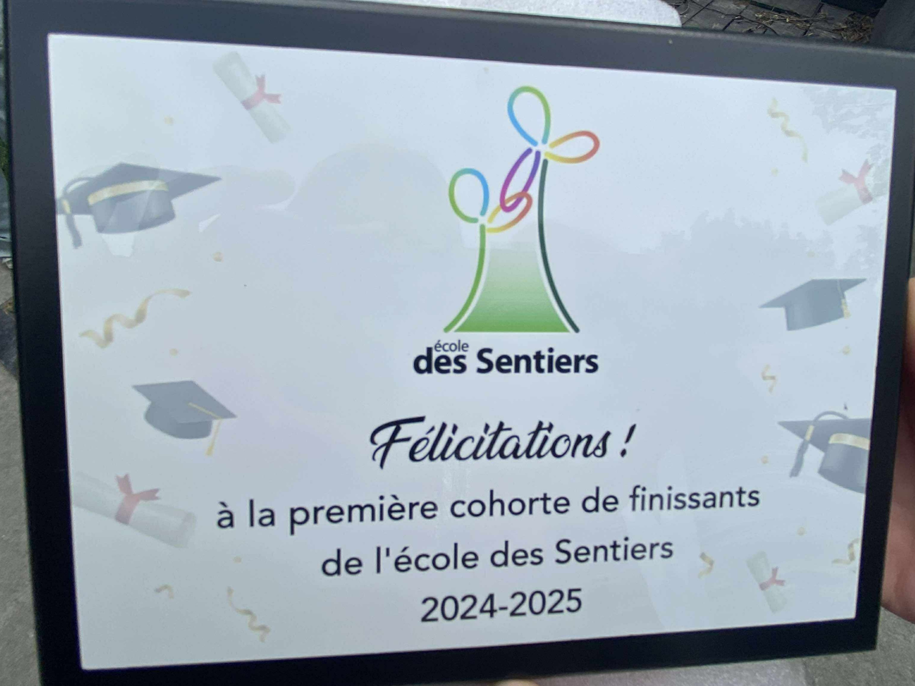Plaque